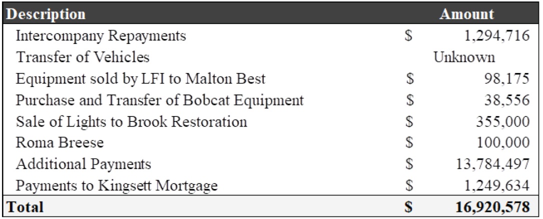 delviro transaction summary 2026 jan.jpg