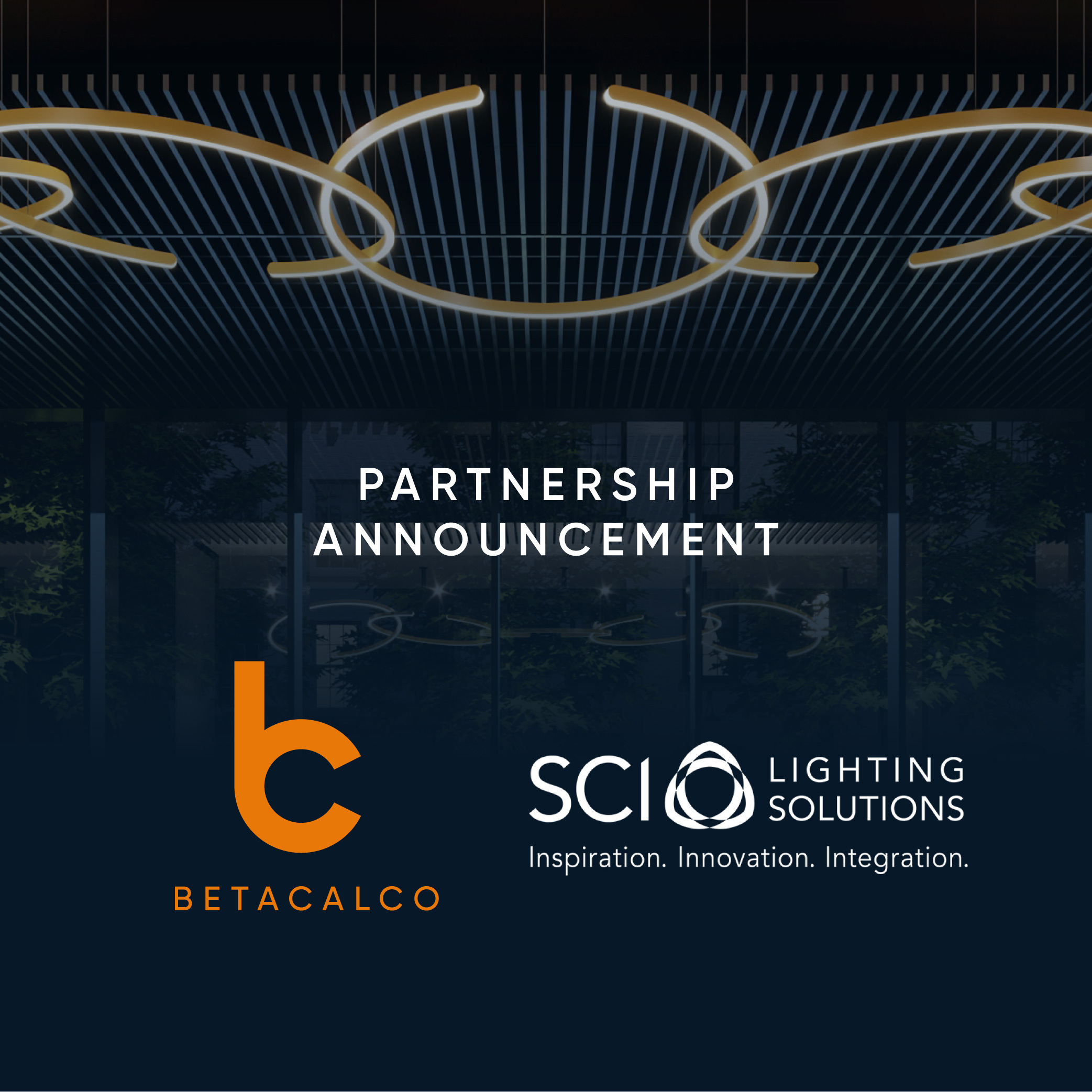 partnership post_SCI.jpg